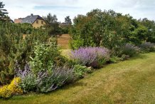 Terrassenbeet