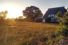 Wiese vorm Haus im Sonnenuntergang