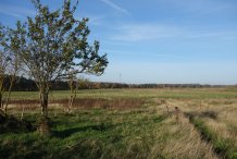 Schwinkels Moor im Norden