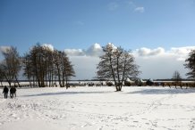 Am Wiecker Hafen im Winter