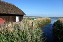Reetgürtel bei Wieck