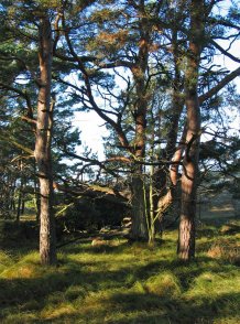 Darßer Ort