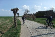 Barnstorf