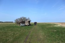 Lehmbrinks Wiese bei Wustrow