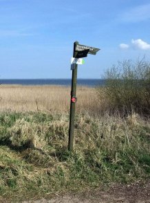 Am Bodden südlich Niehagen