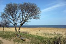 am Saaler Bodden bei Niehagen