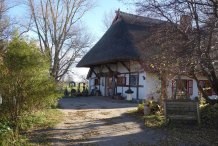 Dornenhaus Ahrenshoop