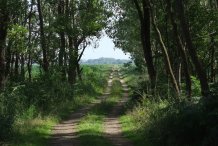 »Hinterste Berge« auf der Kuhwiese bei Barth