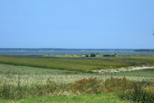 Saaler Bodden von Saal aus