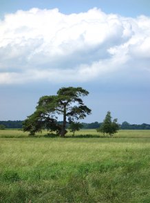 Schwinkels Moor