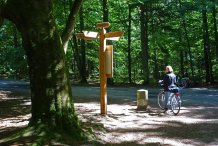 Darßwald - Großer Stern