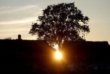 Wieck - Sonnenuntergang am Südkaten