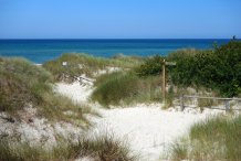 Weststrand - Steinreff