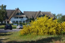 Wieck - Hotel Haferland