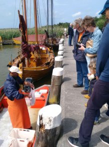 Wieck Hafen - Fischverkauf direkt vom Kahn