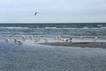 Nordstrand bei Darßer Ort