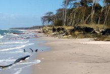 Weststrand