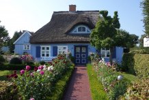 Rohrdachhaus in Born