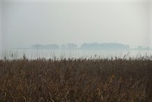 Bodden bei Wieck