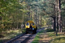 Kutschfahrt im Darßwald