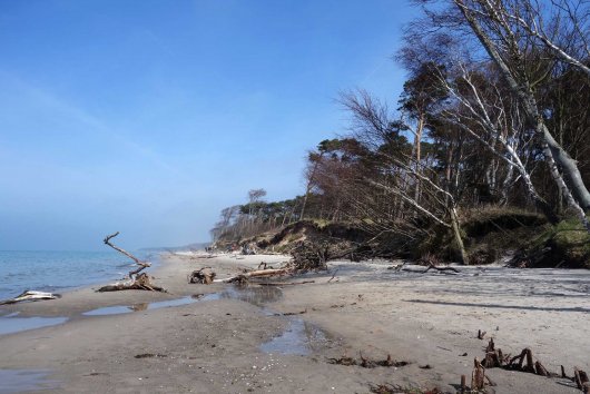Weststrand