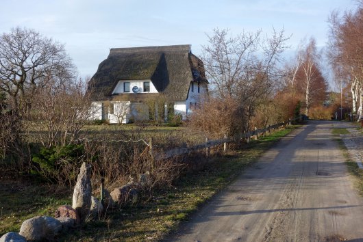 Ellernweg im Februar