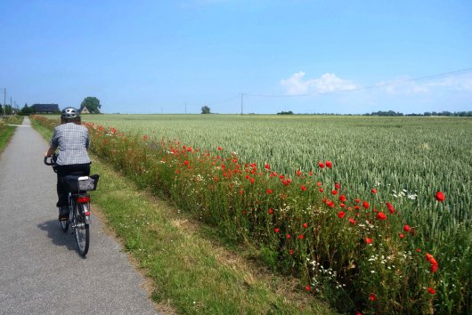 Radweg an der Straße von Saal Neuendorf