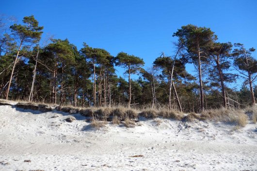 Weststrand